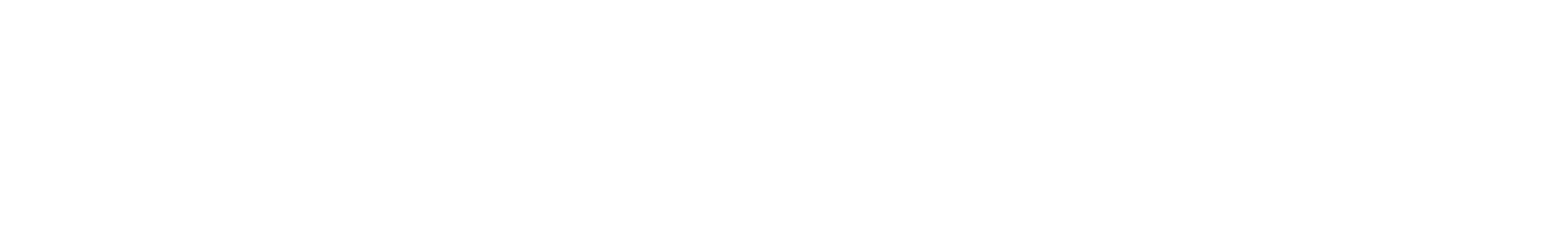 logo ranolution gmbh white